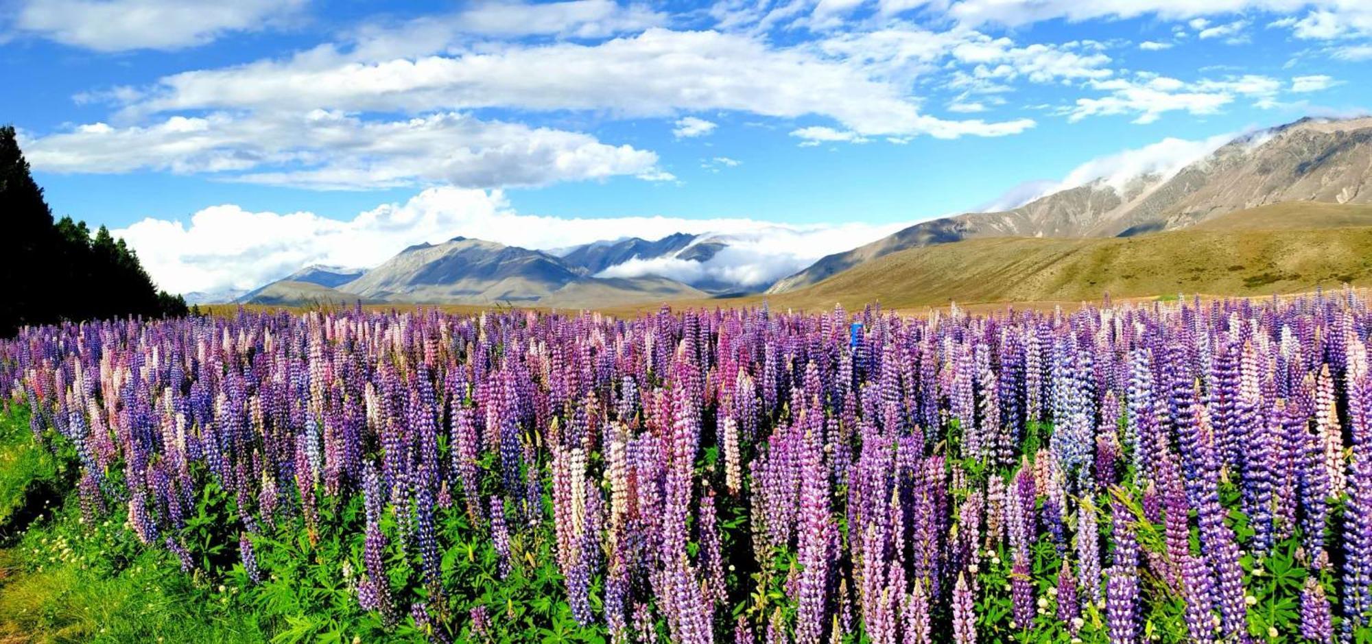 37 Galaxy A Leilighet Lake Tekapo Eksteriør bilde
